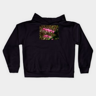 Bleeding Hearts Kids Hoodie